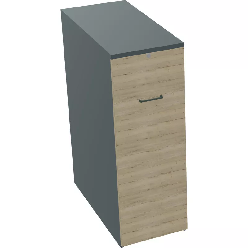 Reiss Hochcontainer mit Frontauszug