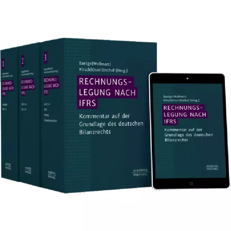 Rechnungslegung nach IFRS - mit Fortsetzungsbezug