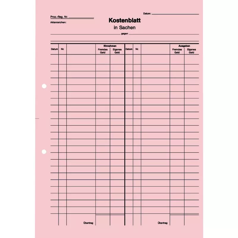 SoldanPlus Kostenblatt, Einnahmen und Ausgaben in gegenüberliegenden Spalten, rot