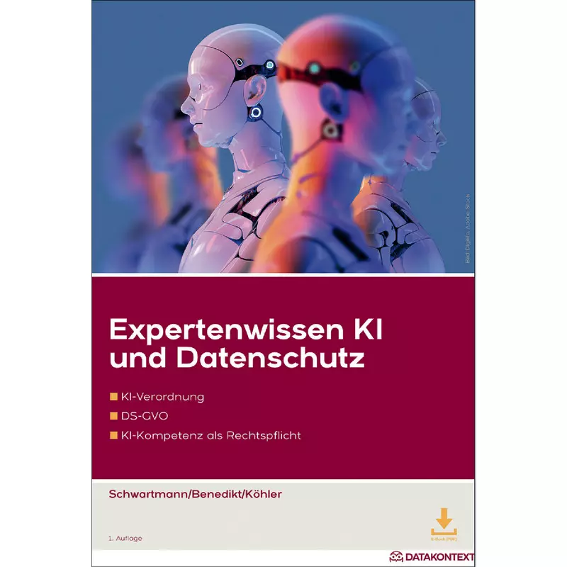 Expertenwissen KI und Datenschutz