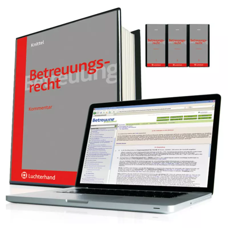 Betreuungsrecht - mit Fortsetzungsbezug