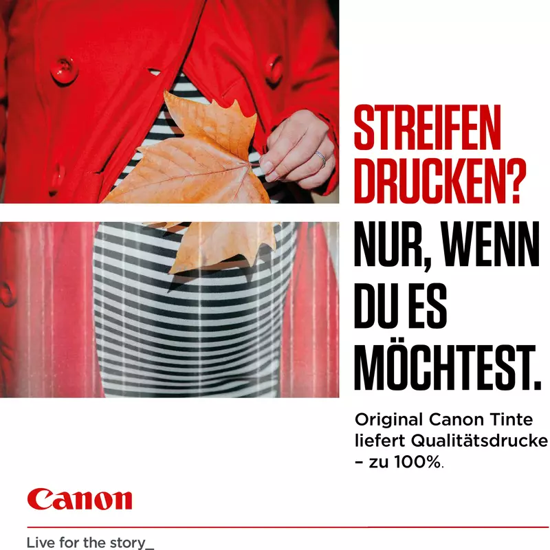 Canon Tinte PG-560XL 3712C001 Schwarz bis zu 400 Seiten gemäß ISO/IEC ...