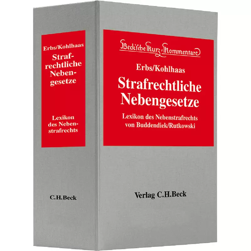Lexikon des Nebenstrafrechts - mit Fortsetzungsbezug