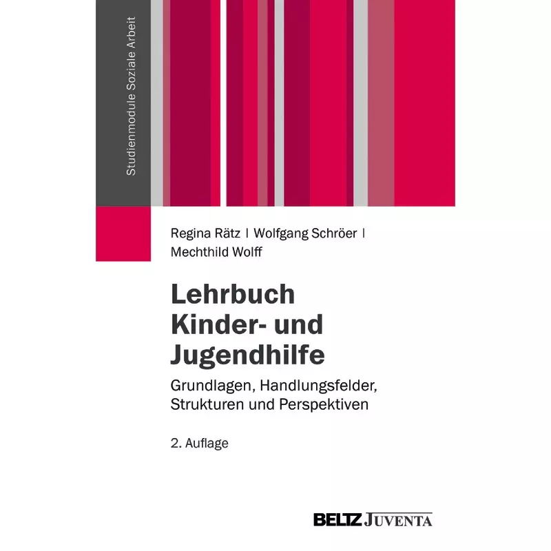 Lehrbuch Kinder- und Jugendhilfe