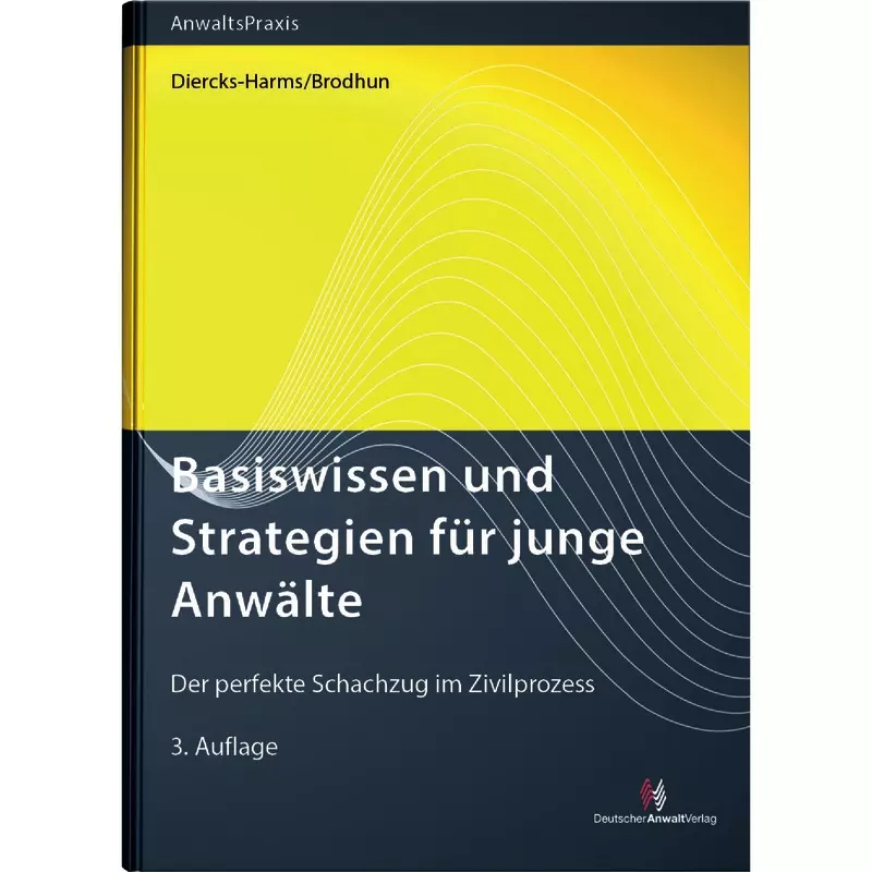 Basiswissen und Strategien für junge Anwälte
