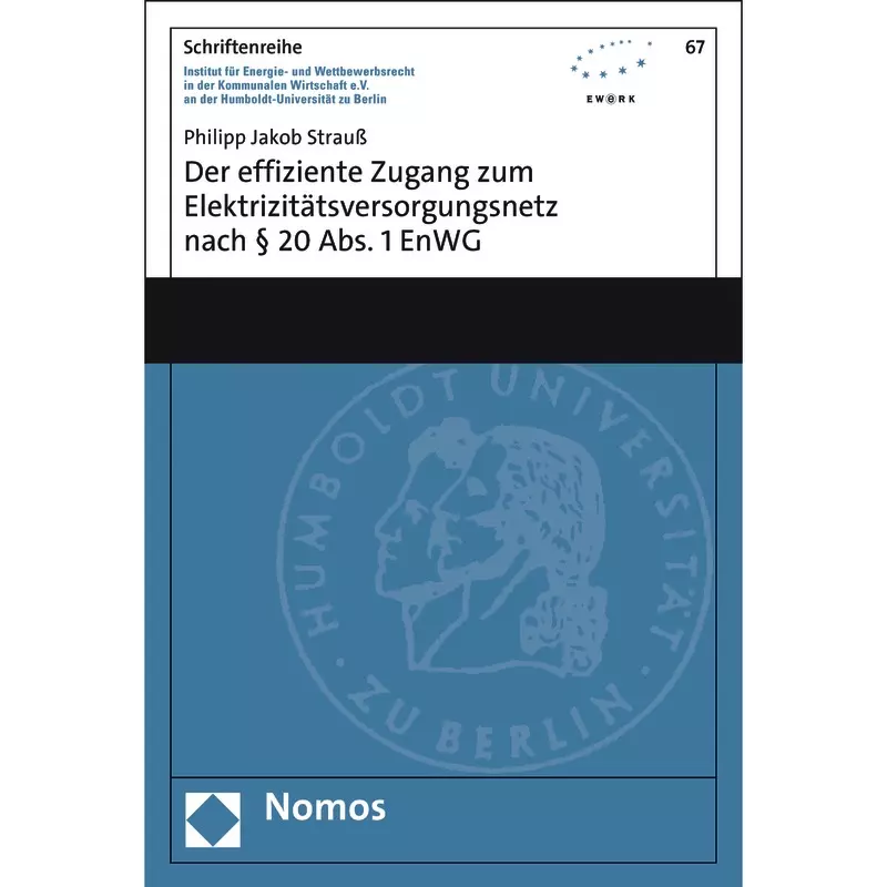Der effiziente Zugang zum Elektrizitätsversorgungsnetz nach § 20 Abs. 1 EnWG