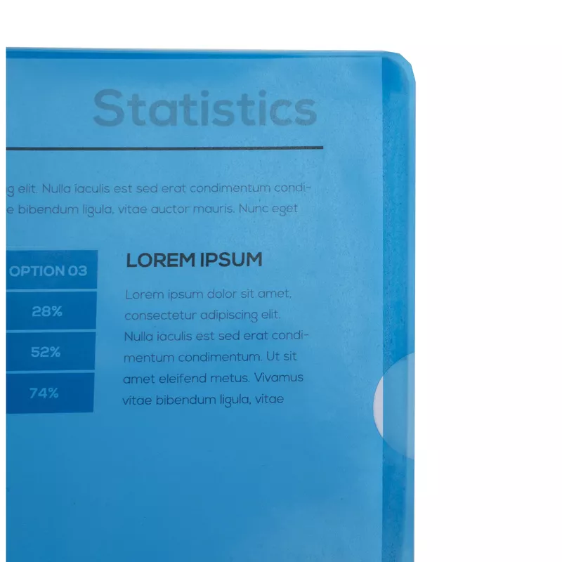 Packung mit 100 Aktensichthüllen aus glattem und festem PVC 130µ, für Format DIN A4 - Farben sortiert