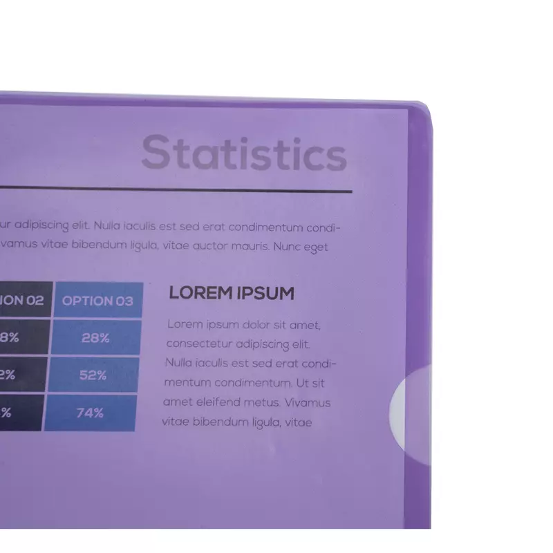 Packung mit 10 Aktensichthüllen aus glattem und festem PVC 130µ, für Format DIN A4 - Violett