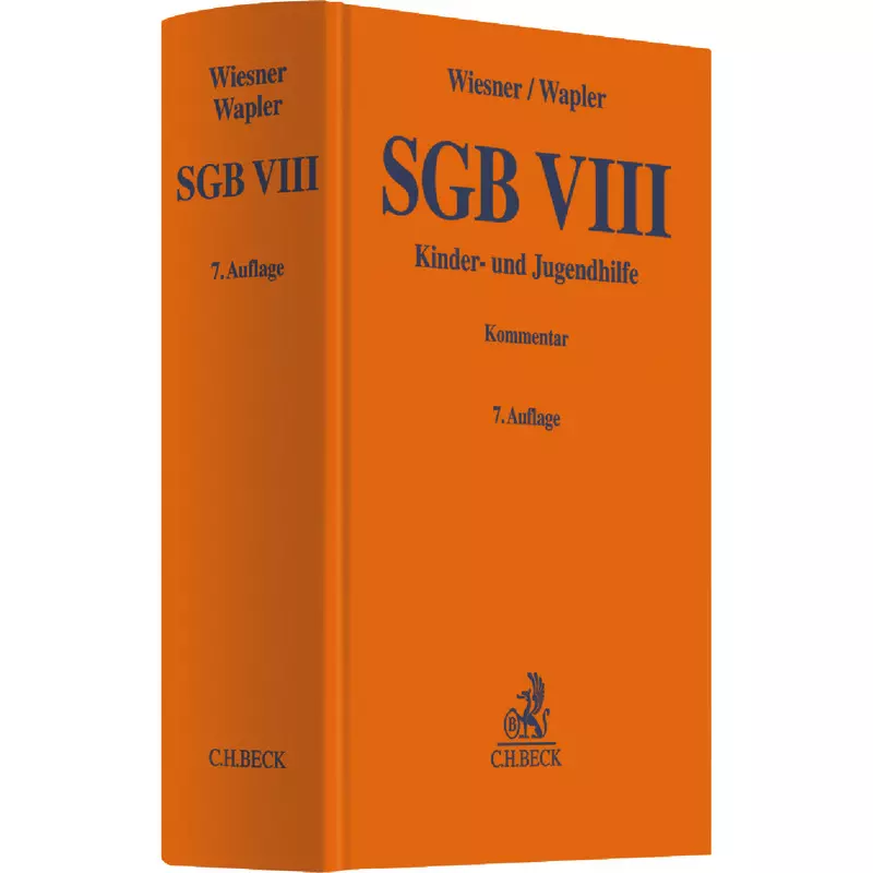 SGB VIII
