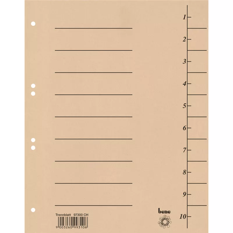 Bene Trennblatt A4 Karton ch 100 St.