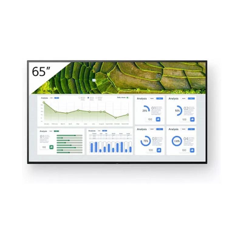 FW-65BZ30L 65INCH PRO