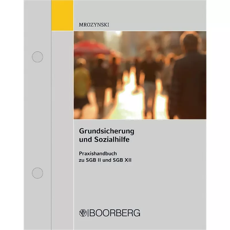 Grundsicherung und Sozialhilfe - mit Fortsetzungsbezug