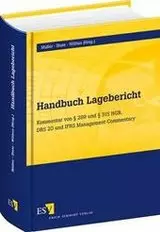 Handbuch Lagebericht
