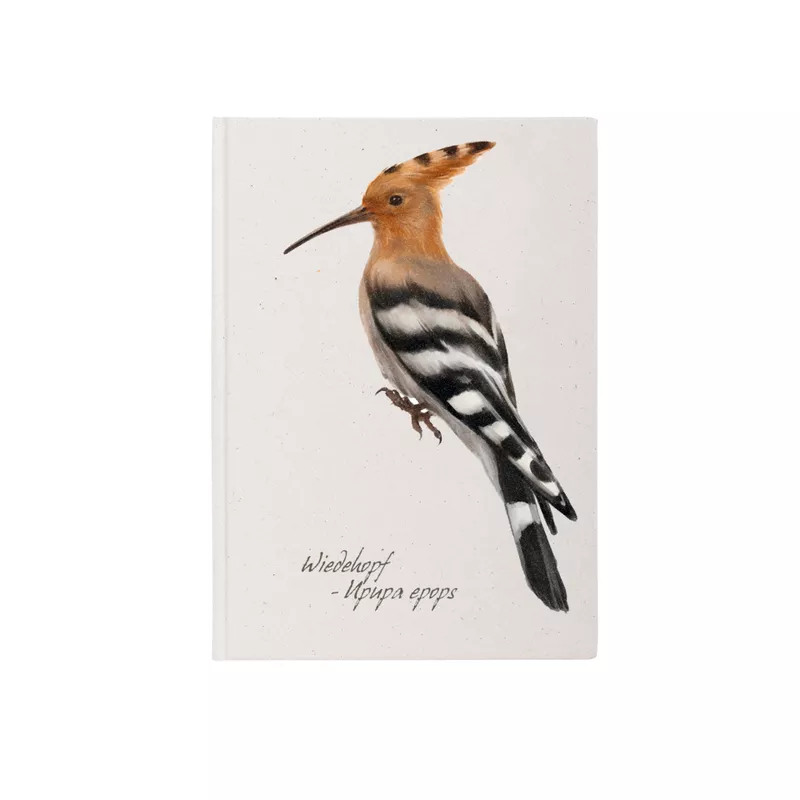 Notizbuch Wiedehopf, A5, 64 Blatt, dotted PAGNA 26109-15