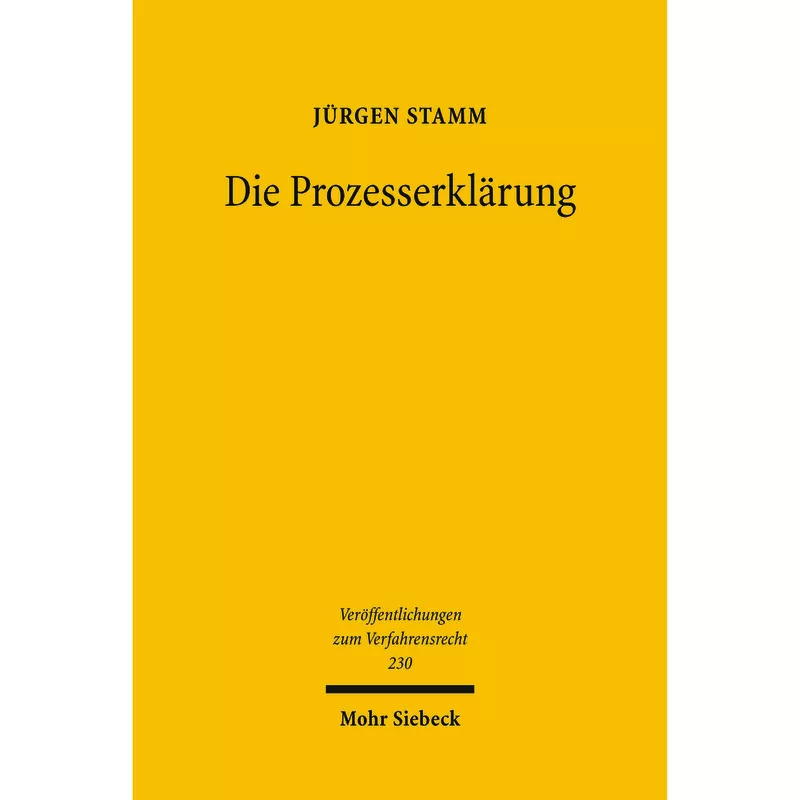 Die Prozesserklärung