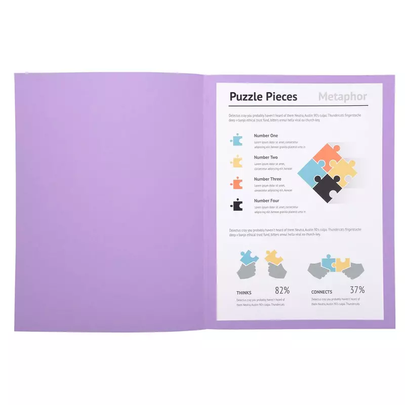 100er Packung Aktendeckel A4 SUPER 210 24x32cm 5-farben - Flieder