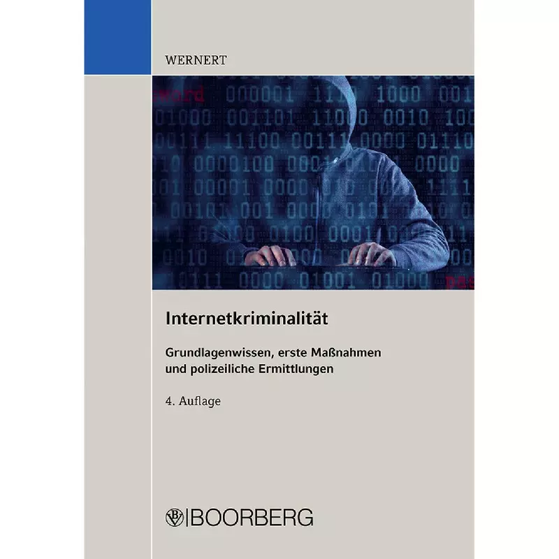 Internetkriminalität