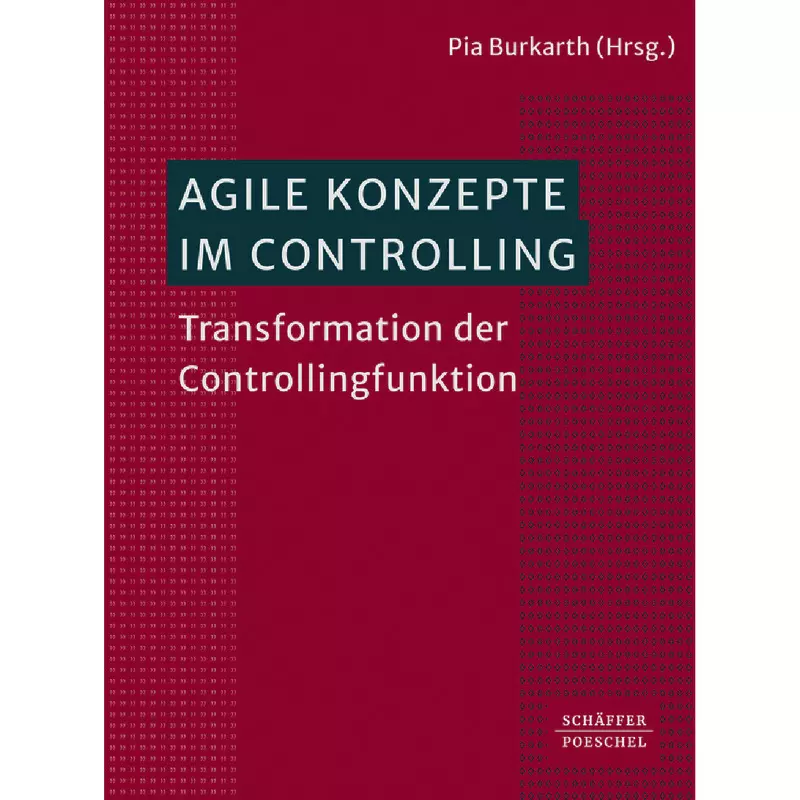 Agile Konzepte im Controlling