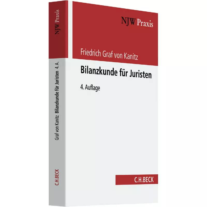 Bilanzkunde für Juristen