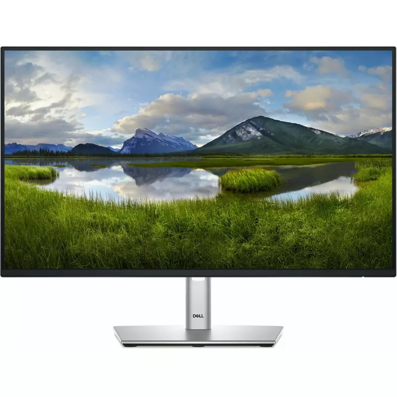 60,47cm/23,8 (1920x1080) Dell P2425HE 16:9 FHD IPS 5ms 100Hz HDMI DP USB-C RJ45 Black/Silver