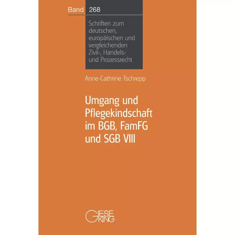 Umgang und Pflegekindschaft im BGB, FamFG und SGB VIII