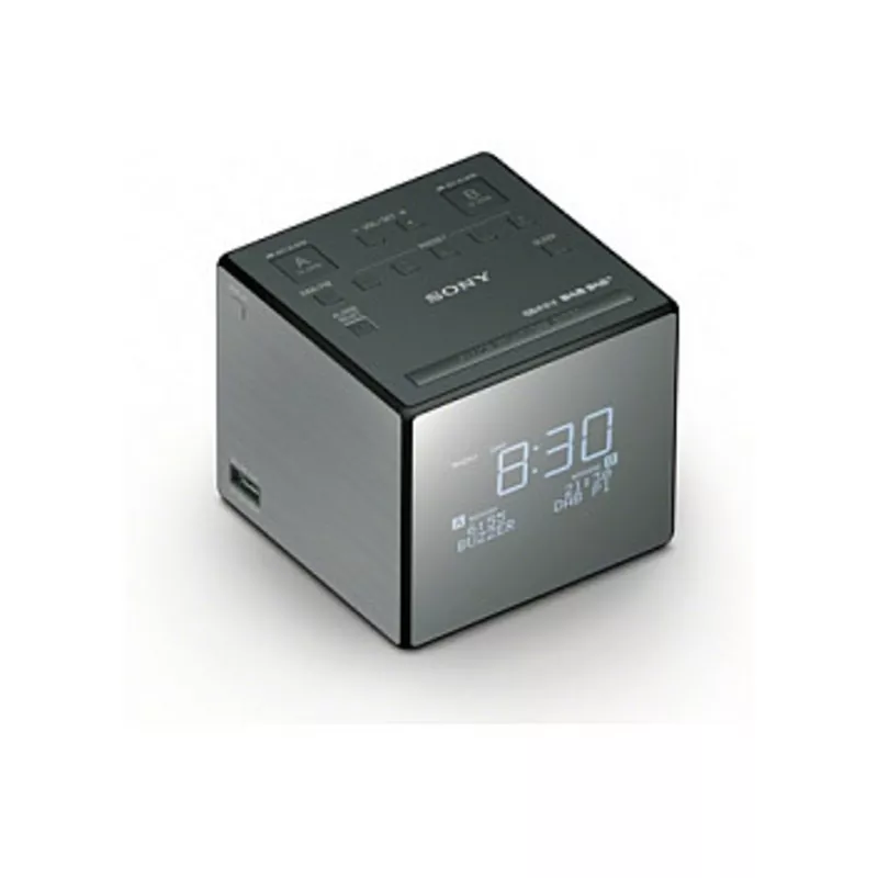 Sony XDR-C1DBP titan black