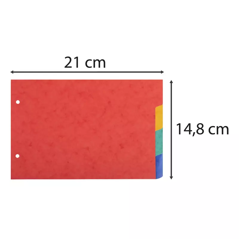 Register 148x210mm, flexibler Colorspan-Karton 225g, 4 Taben, 2-fach gelocht, für Karteikarten - Farben sortiert
