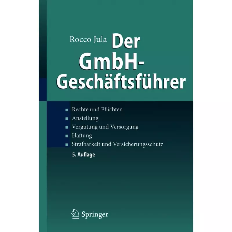 Der GmbH-Geschäftsführer
