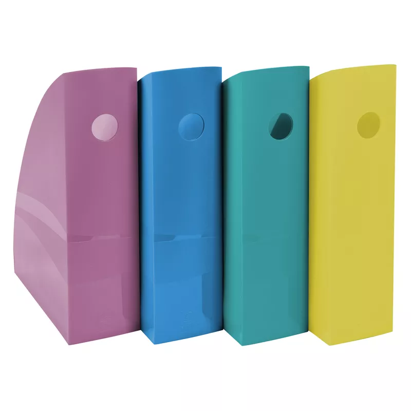 Exacompta Stehsammler MAG- CUBE Forever Young sort 4St