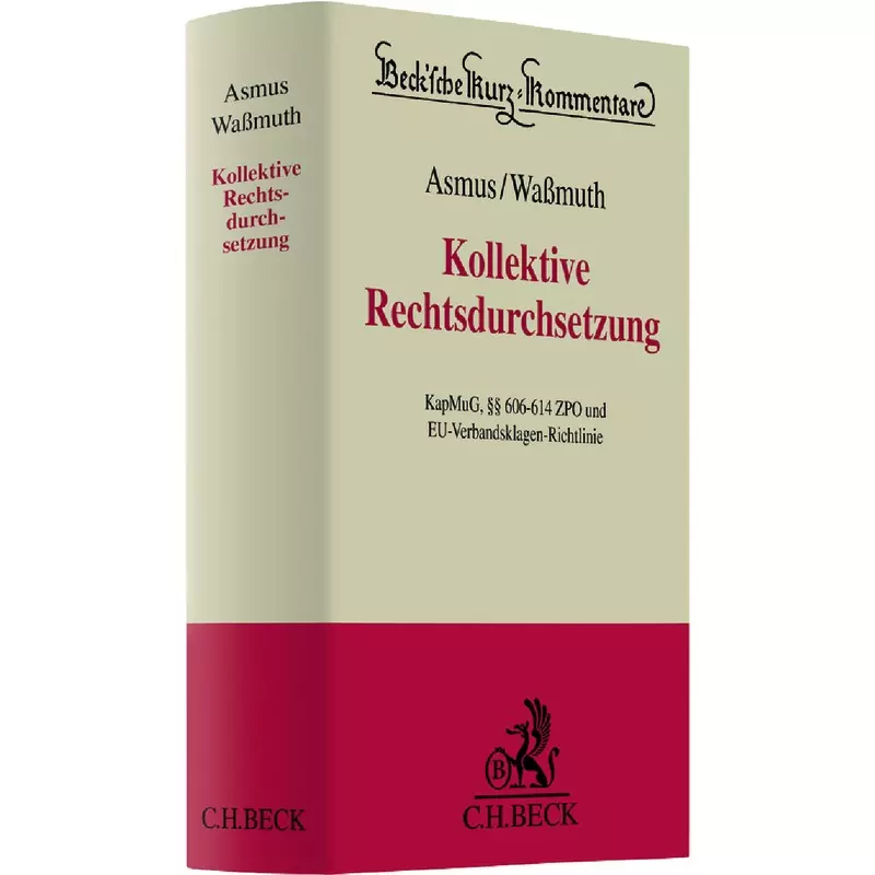 Kollektive Rechtsdurchsetzung