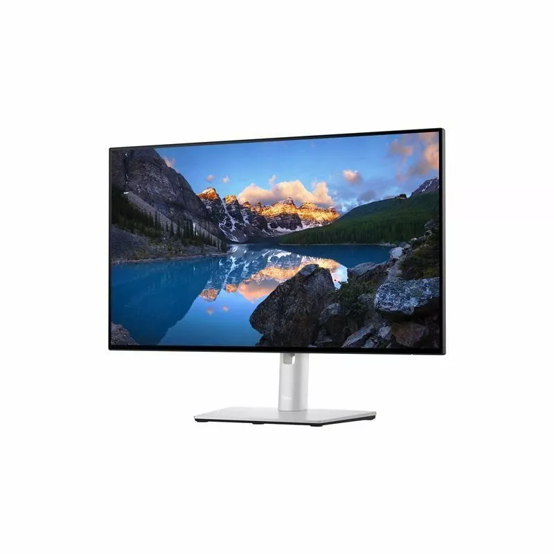 Dell UltraSharp U2422HE - LED-Monitor - Full HD (1080p) - 61 cm (24")