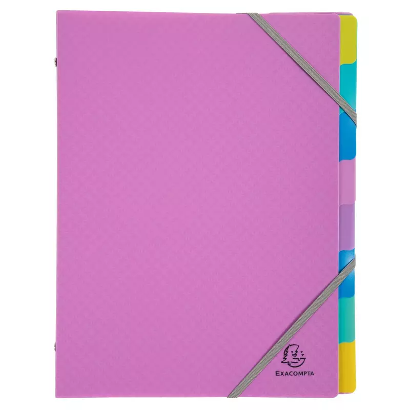 Ordnungsmappe für A4 aus Polypropylen mit Gummizug, 3 Klappen und 8 Fächern, Forever Young - Farben sortiert