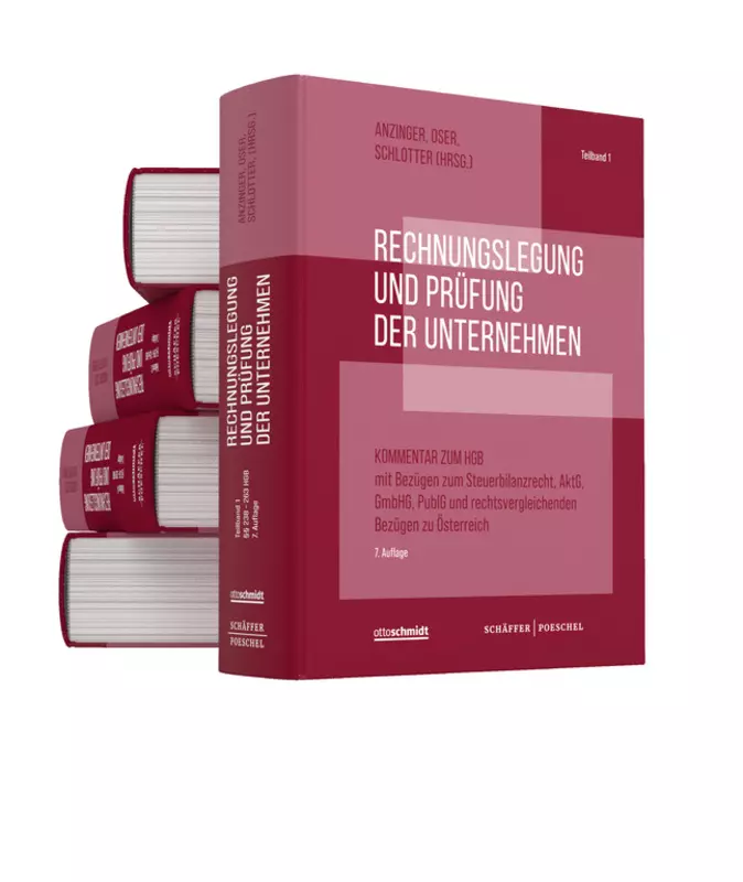 Rechnungslegung und Prüfung der Unternehmen - Gesamtausgabe