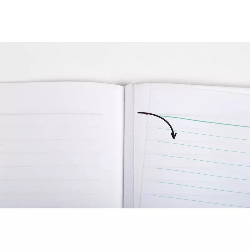 Kassenbuch A4 Einnahme-Ausgabe 50x2Bl -