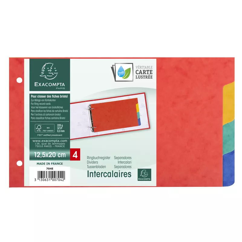 Register 125x200mm, flexibler Colorspan-Karton 225g, 4 Taben, 2-fach gelocht, für Karteikarten - Farben sortiert