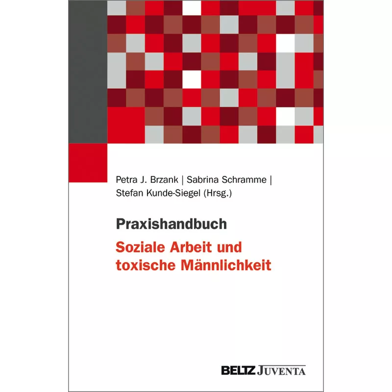 Praxishandbuch Soziale Arbeit und toxische Männlichkeit