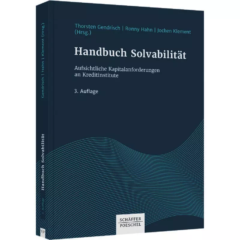 Handbuch Solvabilität
