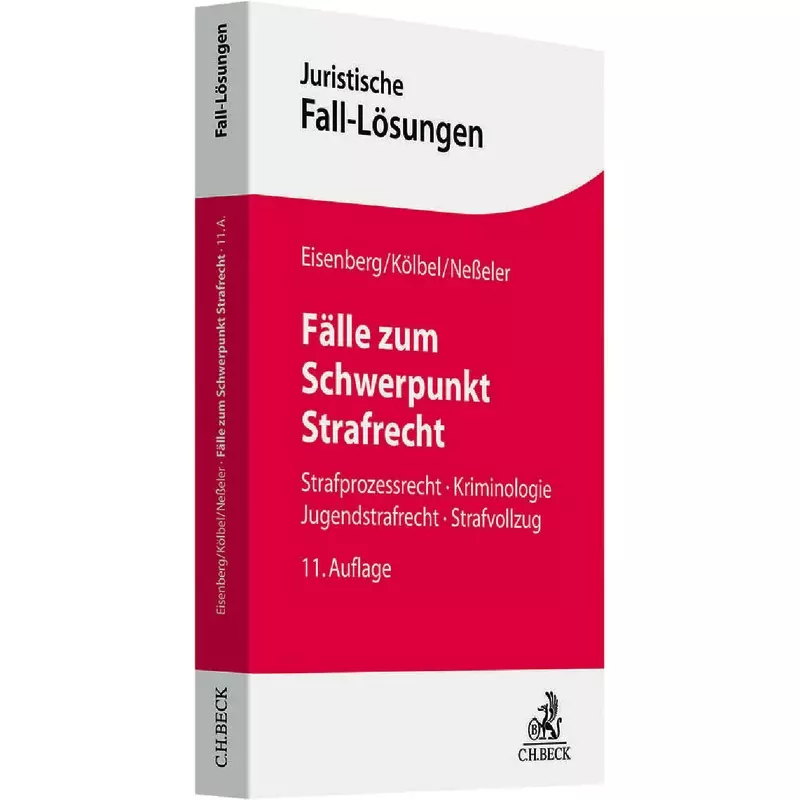 Fälle zum Schwerpunkt Strafrecht
