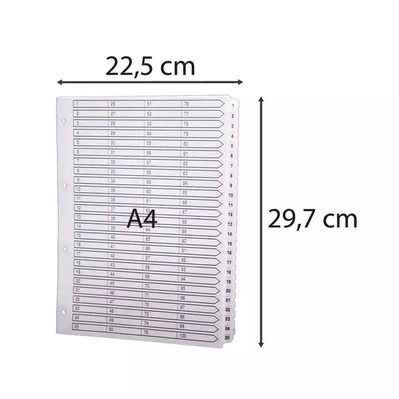 Bedruckte Register mit plastifizierten Taben, 100 Taben von 1 bis 100, DIN A4 - Weiß