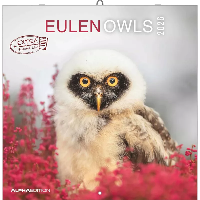 Bildkalender Eulen 2026, 30 x 30 cm, 1M/1S, schwarz ALPHA 160188