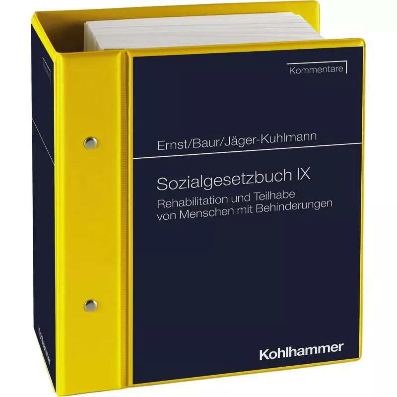 Sozialgesetzbuch IX - mit Fortsetzungsbezug