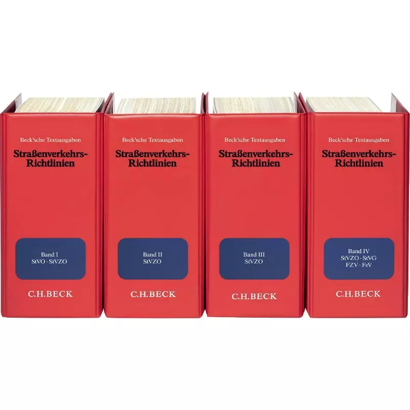 Straßenverkehrs-Richtlinien - mit Fortsetzungsbezug
