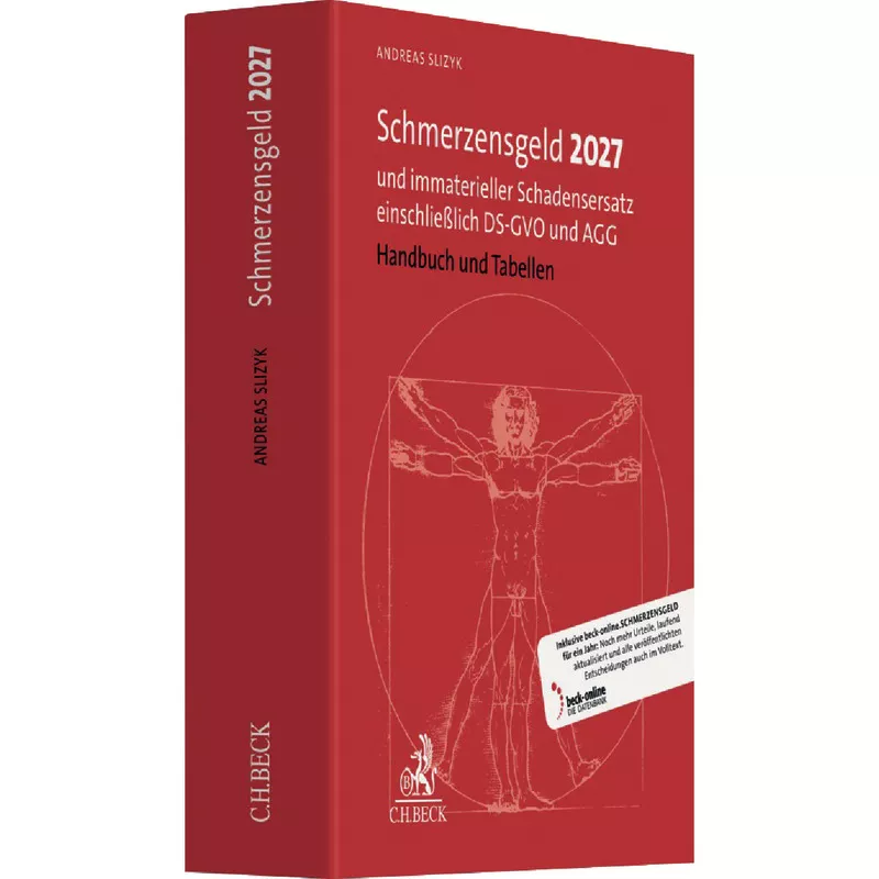 Schmerzensgeld 2027