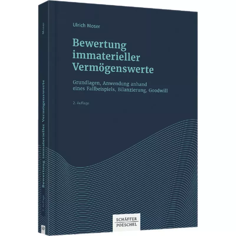 Bewertung Immaterieller Vermögenswerte