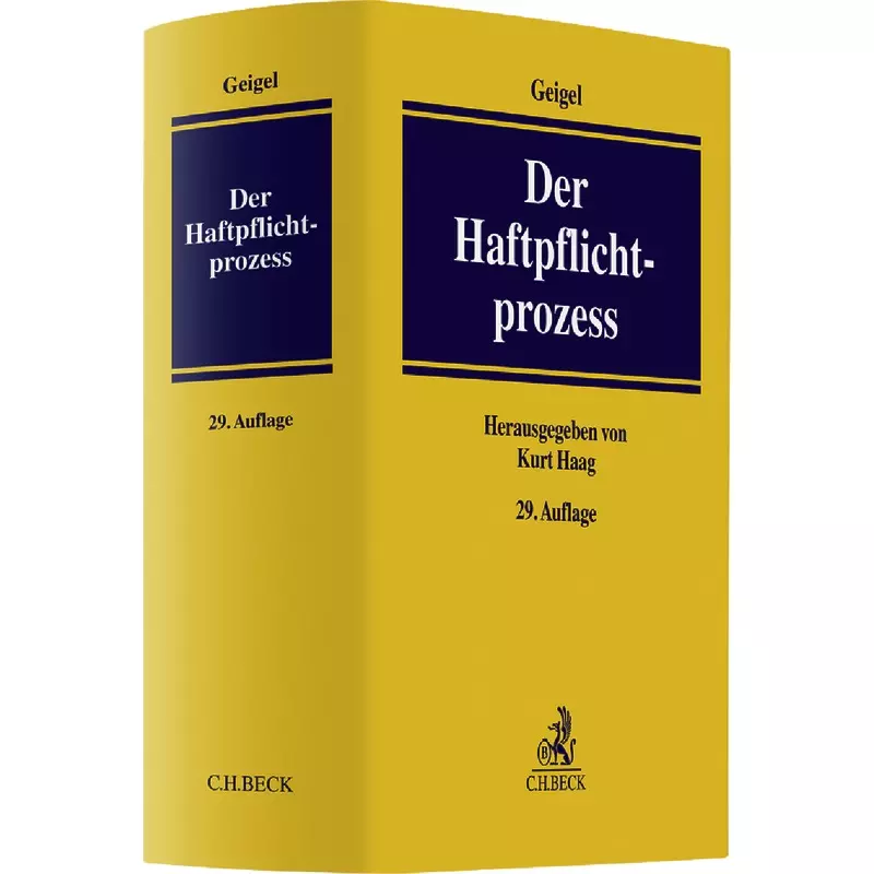Der Haftpflichtprozess