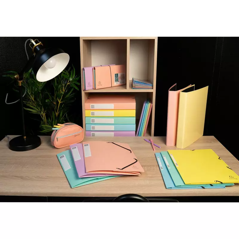 Archivbox Cartobox A4 Colorspan, Rückenbreite 60mm, wird flach geliefert, Aquarel - Farben sortiert