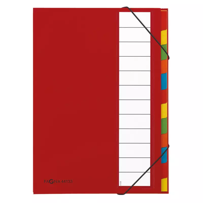 Pagna Ordnungsmappe Deskorganizer A4 12Fächer rt