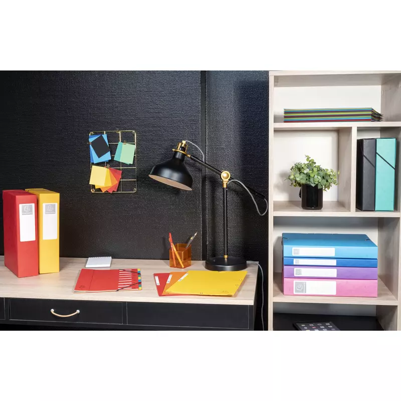 Archivbox aus Colorspan-Karton 600g, Rückenbreite 40mm mit Etikett, 25x33cm für DIN A4 - Farben sortiert