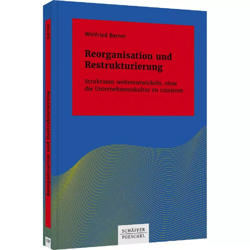 Reorganisation und Restrukturierung
